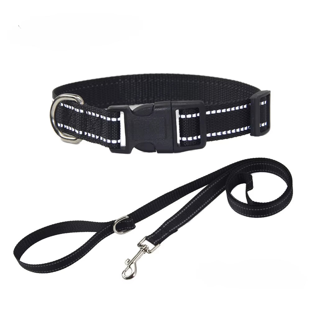 NightGuard Nylon Dog Collar & Leash