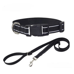NightGuard Nylon Dog Collar & Leash