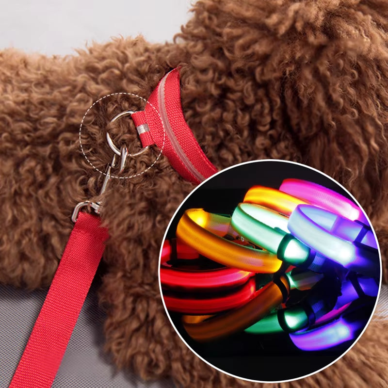 Reflective Nylon LED Pet Dog Collar Safety Night Walking Flashing Glow in the Dark Pet Luminous Dog Accessories Collar
