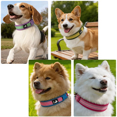 ComfortRide Non-Choke Breathable Dog & Cat Collar and Leash Set – Soft Neoprene Padded Safety Reflective Matching Pet Collar & Leash Bundle