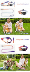 Nylon Adjustable Pet Collar and Leash Set | Durable Walking Traction Lead for Small, Medium, and Large Pets - Pink