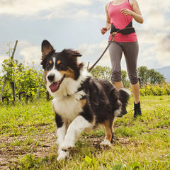 1.8M Hands-Free Running Dog Leash with Adjustable Waist Belt - Heavy-Duty All-Weather Elastic Traction Lead for Large Dogs Walking and Training