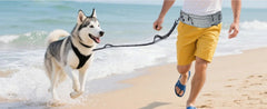 Hands-Free Waist Dog Leash with Zippered Walking Pouch - Reflective Shock-Absorbing Bungee Lead and Dual Padded Handles for Running, Walking, and Jogging