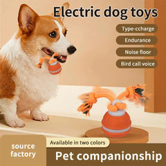 Smart Interactive Dog & Cat Rope Ball - Electronic Motion Toy (Blue/Red)