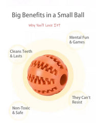Interactive Dog & Cat Treat Ball - Natural Rubber Dental Chew & IQ Toy
