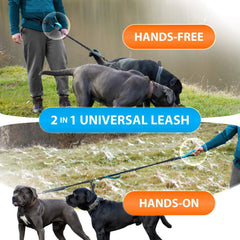 Heavy-Duty Short Elastic Buffer Dog Leash - Shock-Absorbing Explosion-Proof Pulling Lead with Padded Control Handle and Breakaway Safety for Small to Large Dogs