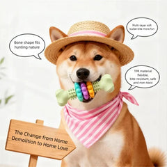 Interactive Rubber Dog Chew Toy | Dental Molar Bone for Puppies & Dogs