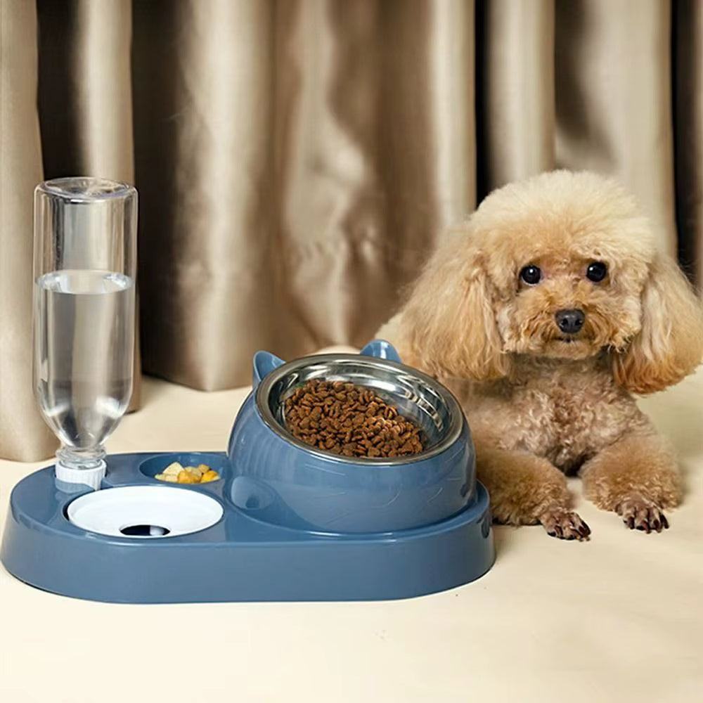 Food Container with Water Feeder 2-In-1