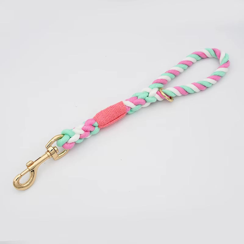 Loudik P-Chain Collar Leads - Fancy Styles