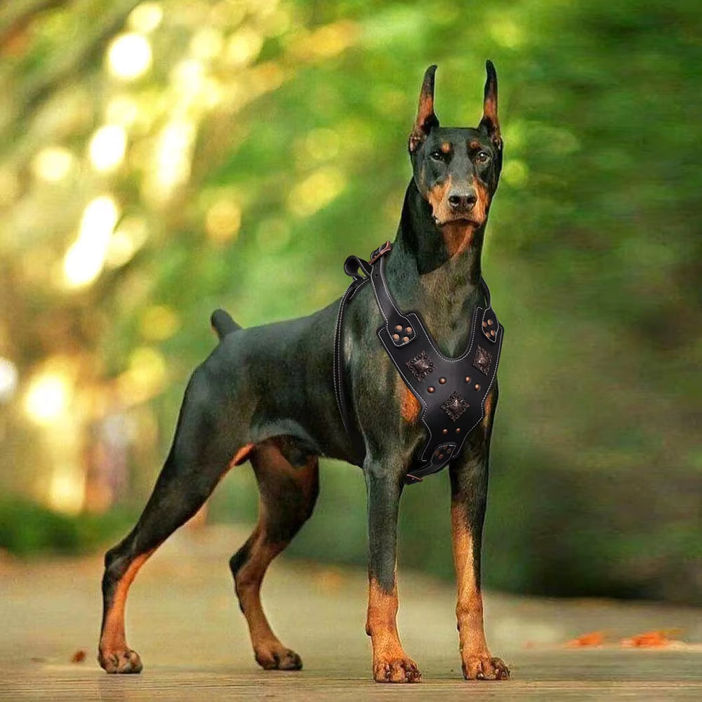 Genuine Leather Dog Harness Durable Large Dogs Harnesses Riveted Pet Training Vest with Metal Accessories for Medium Large Dogs