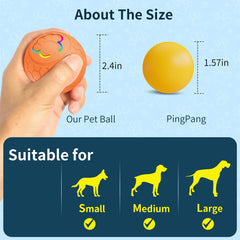Smart Dog Toy Ball Electronic Interactive Pet Toy Ball USB Automatic Bouncing Rolling Toy Ball with RGB Lights Puppy Cat Product