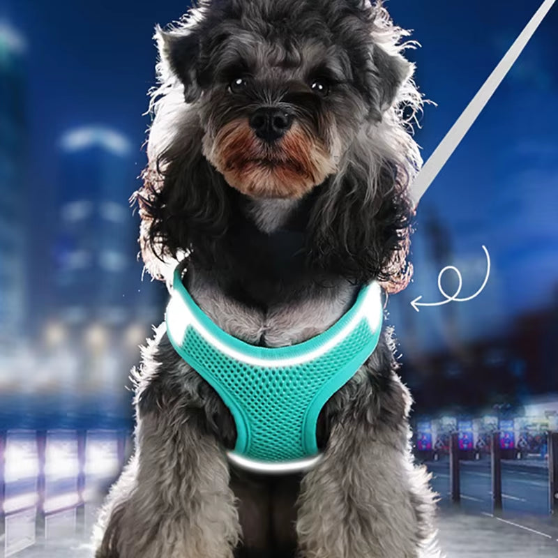 MADDEN Reflective Adjustable Dog Harness Vest and Leash Set for Small to Medium Pets - Breathable Outdoor Walking Solution