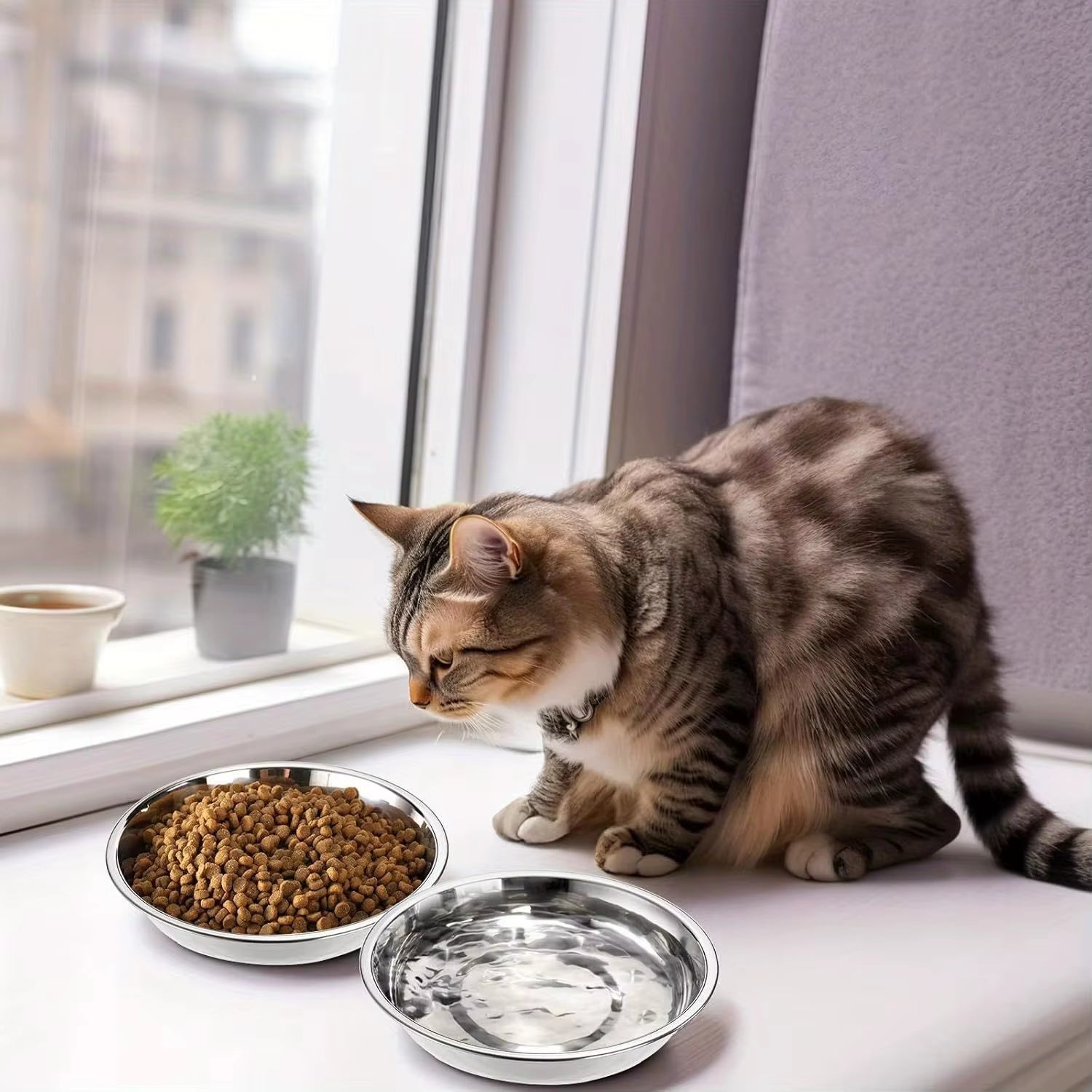 Slip-Resistant Stainless Steel Pets Bowl Set