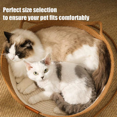 Rattan Weaving Cat Basket Pet Cat Bed Woven Four Seasons Cat Bed Cat Scratch Floor Rattan Interactive Games Ball with Cushion