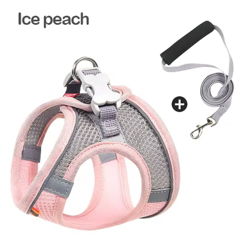 MADDEN Reflective Adjustable Dog Harness Vest and Leash Set for Small to Medium Pets - Breathable Outdoor Walking Solution