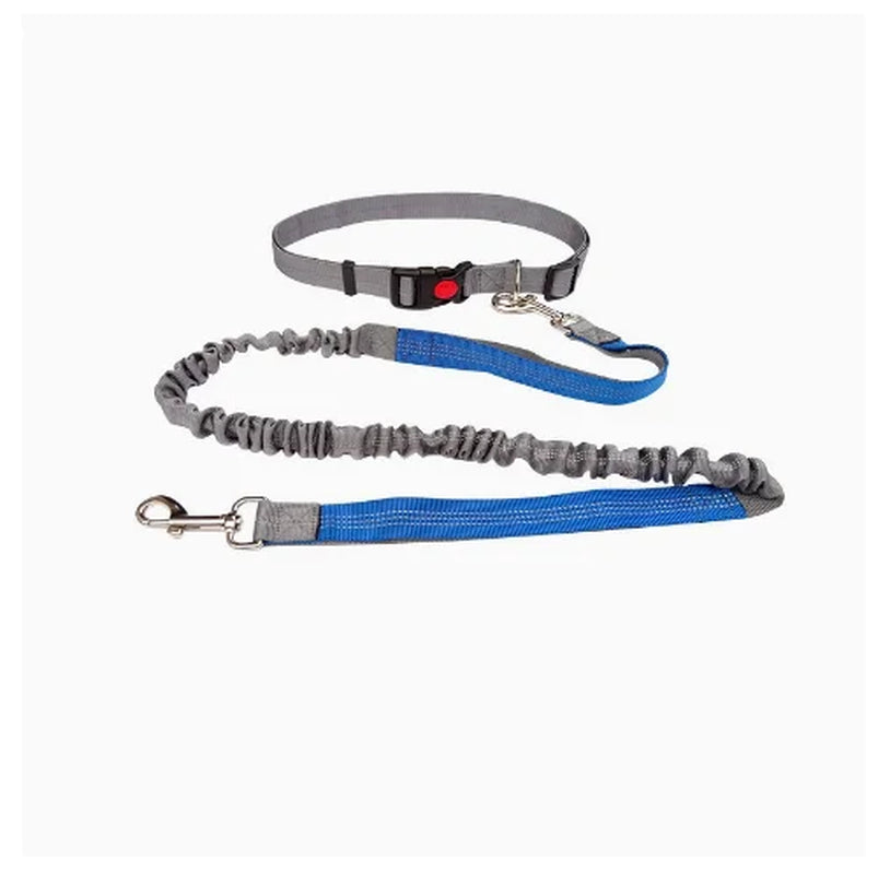 Hands-Free Dog Leash with Adjustable Waist Belt and Shock-Absorbing Bungee - Reflective Running, Jogging, and Walking Traction Rope for Small, Medium, and Large Dogs