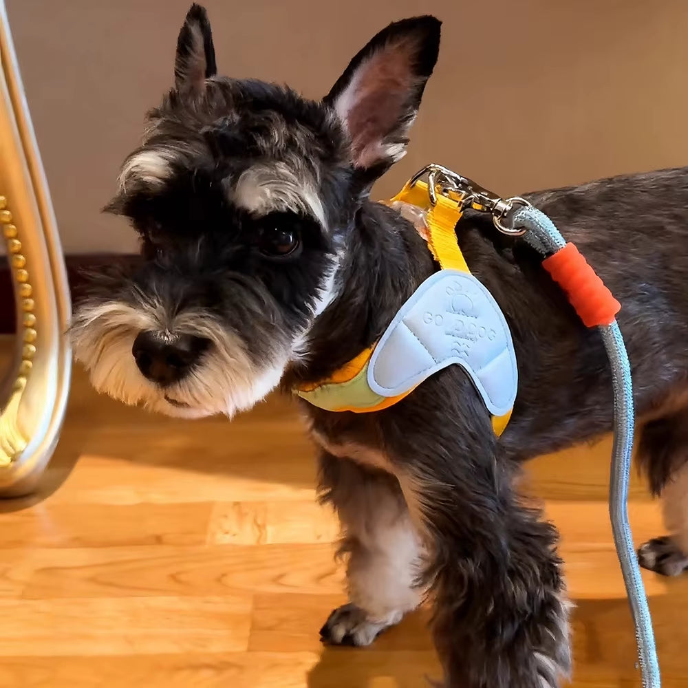 Y-Shaped Dog Harness for Small Dogs Shiba Inu Puppy Chest Straps Macaron Color Matching Pet Harness Outdoor Products