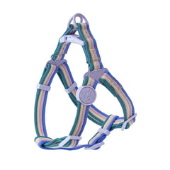 Iridescent Color-Block Dog Collar Leash & Comfort Harness