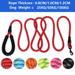 Strong Reinforced Nylon Dog Leash - Heavy-Duty Traction Rope with Soft Padded Comfort Handle for Small, Medium, and Large Breeds