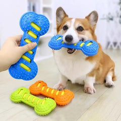 Indestructible Squeaky Rubber Bone Dog Chew Toy - High-Thickness Food-Grade TPR Teething Toy and Dental Care Massager for Puppies, Small, and Medium Dogs