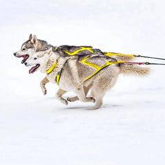 Reflective Padded Dog Sledding & Weight Pulling Harness for Large Dogs