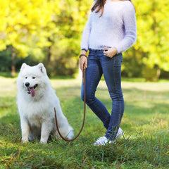 1.8M Hands-Free Running Dog Leash with Adjustable Waist Belt - Heavy-Duty All-Weather Elastic Traction Lead for Large Dogs Walking and Training