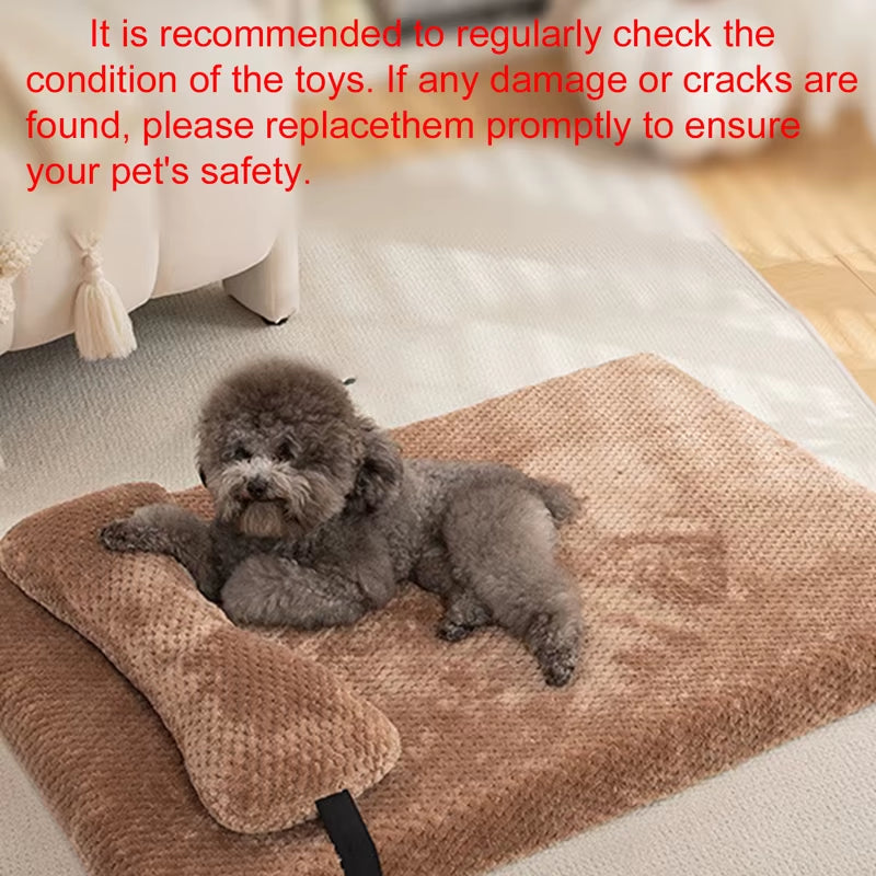 Pets Mats And Pillow Set - Pawzation Special