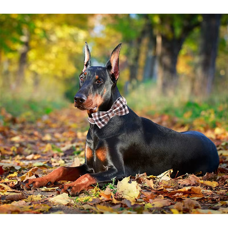 Cotton Fabric Dog Collar with Bow Tie