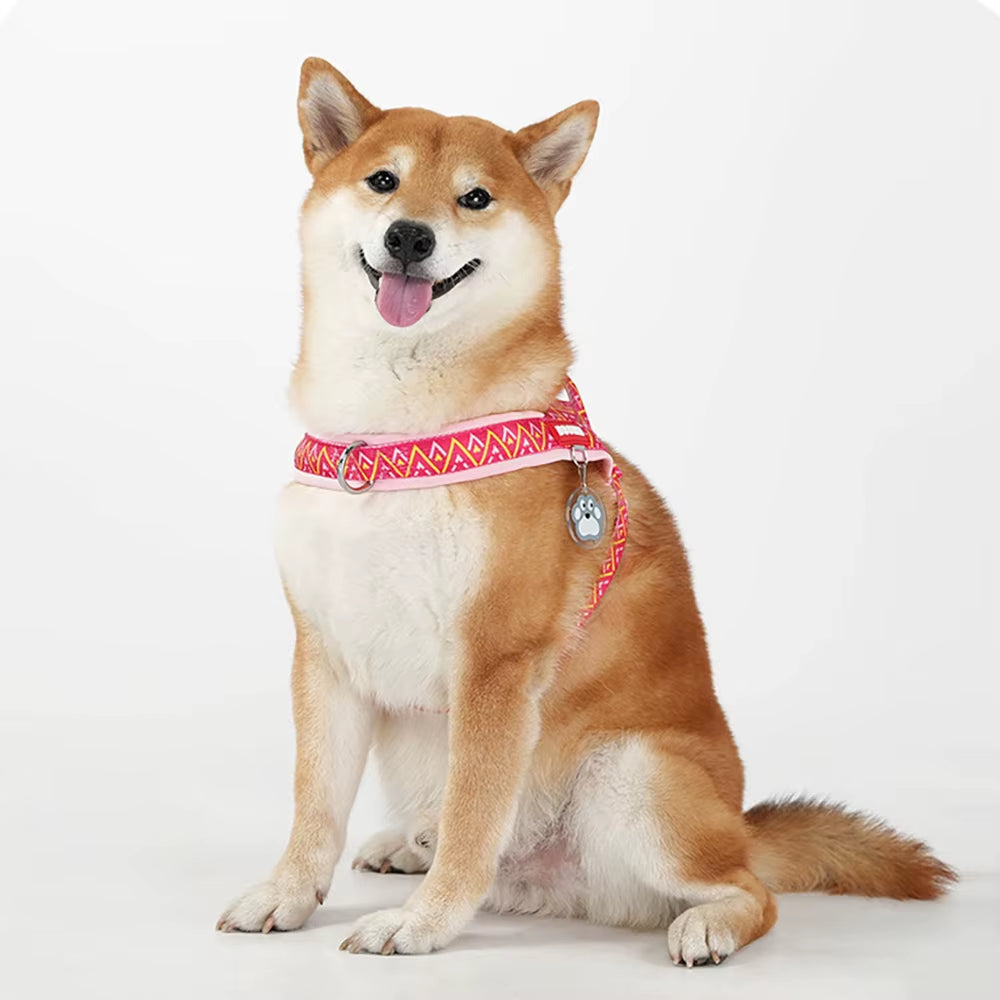 Dog Harness Fashion Printed Saddle, Soft Adjustable No-Pull Padded Vest with Handle for Pet All Breeds