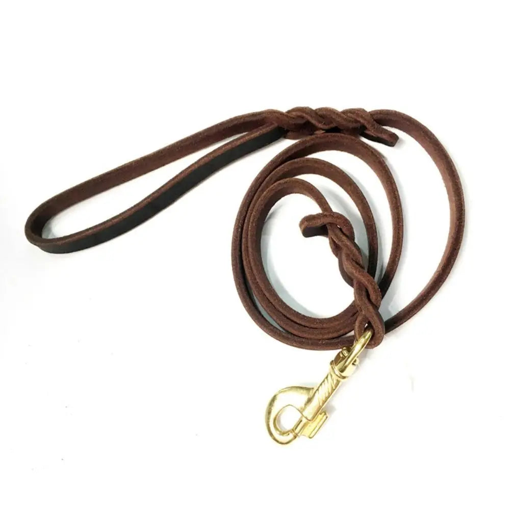 Braided Genuine Leather Dog Leash with Copper Hook – Long, Soft & Durable Lead for Training and Walking