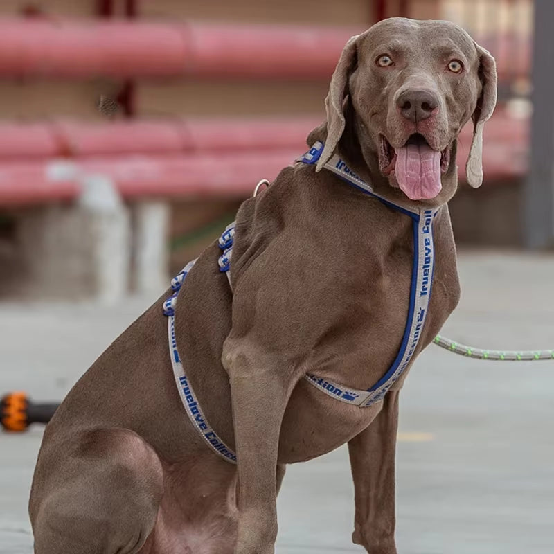 Dog Harness Pet Strap Adjustable Vest Back-Slip Reflective Traveling Walking Accessories for Small Meduim Large Dogs