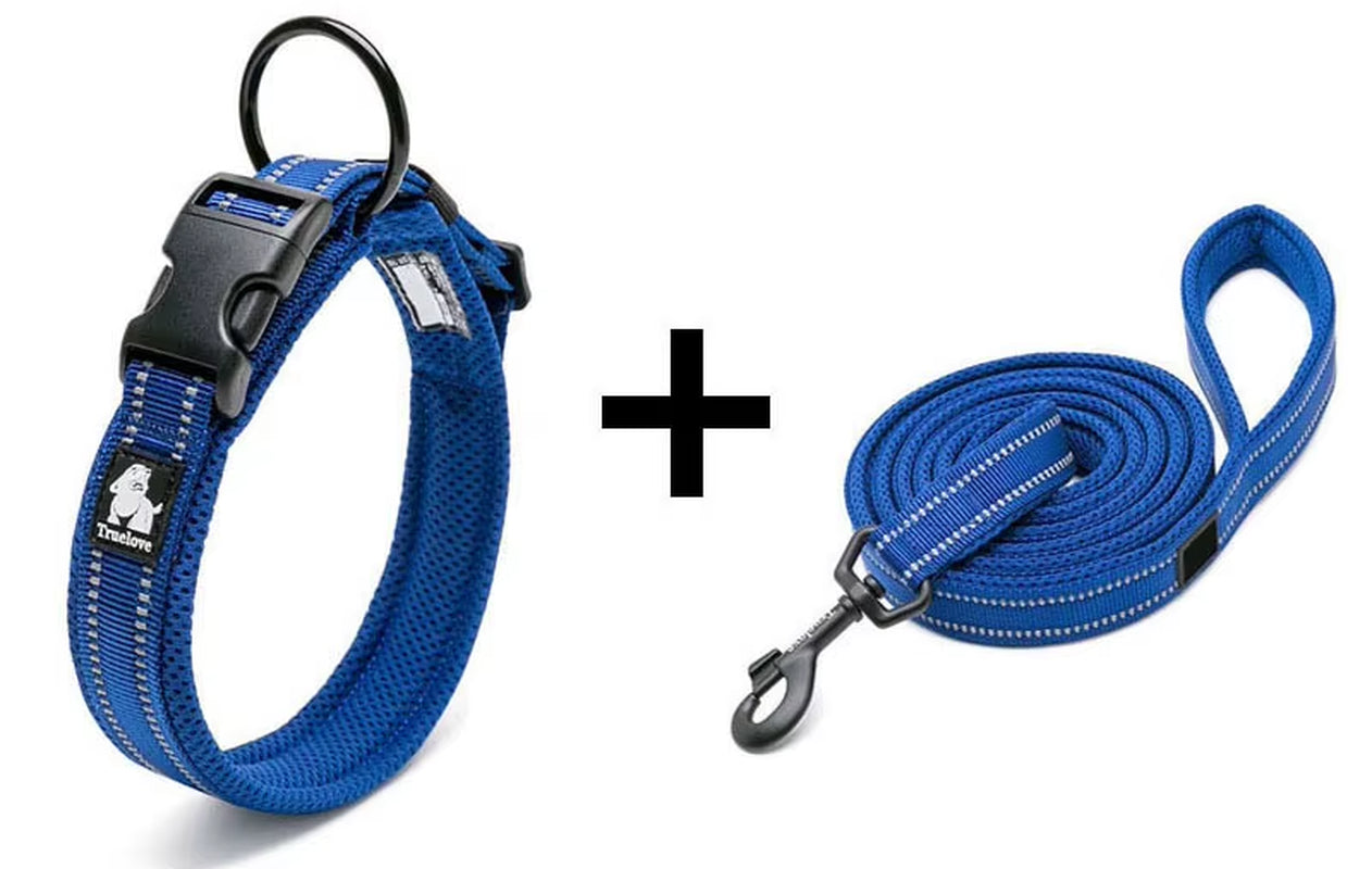 Adjustable Nylon Dog Collar and Leash Combo – Reflective Safety Design