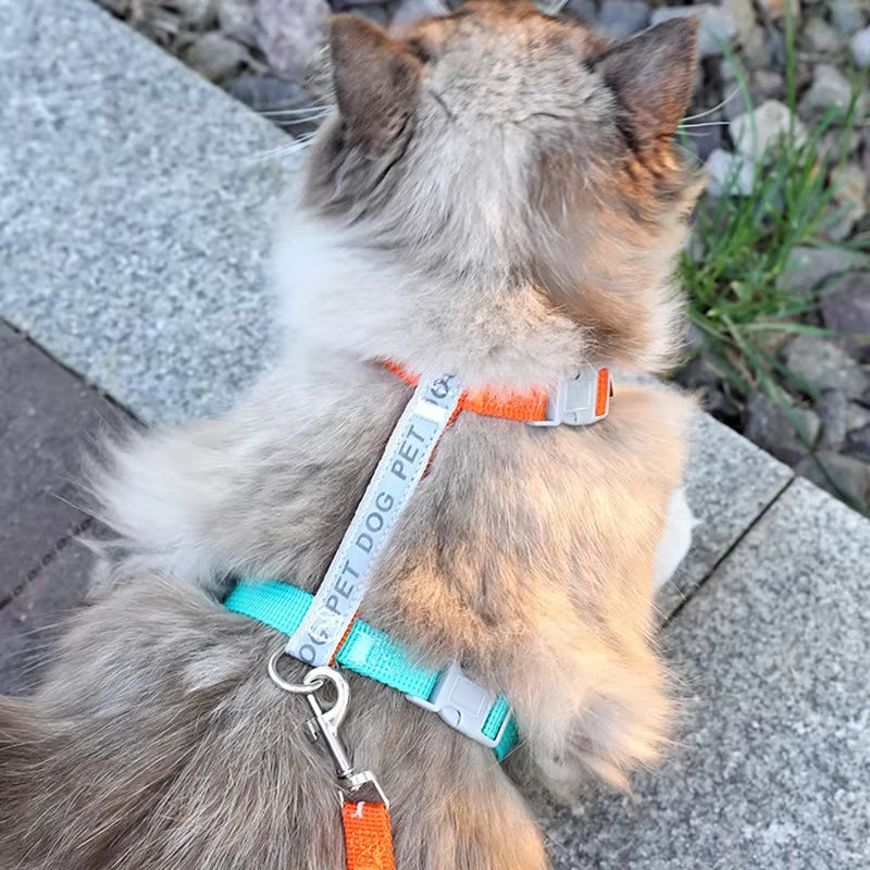 Reflective H-Shape Pet Harness & Leash Set - Anti-Breakaway Walking Kit