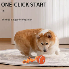 Interactive Dog Toy Ball with Rope Electronic Motion Activated Rolling Ball for Indoor Cat Dog Play Toys for Puppy Training Ball