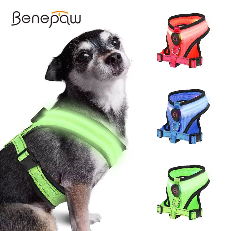 LED Light Dog Harness – USB Rechargeable Reflective Vest, Adjustable Soft Padded Mesh Harness for Small & Medium Dogs