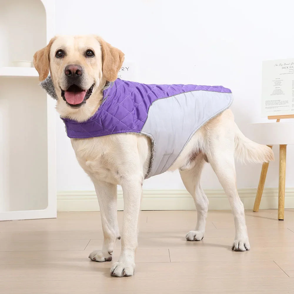 Pawzation Quilted Reflective Dog Vest – Waterproof Winter Jacket with Integrated D-Ring