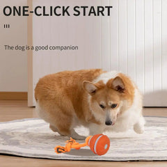 Smart Interactive Dog & Cat Rope Ball - Electronic Motion Toy (Blue/Red)