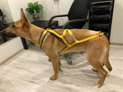 Reflective Padded Dog Sledding & Weight Pulling Harness for Large Dogs