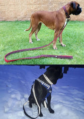 Premium Reflective Dog Leash & Collar Set – Adjustable, Durable & Safety-Enhanced Design