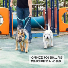 2-in-1 Multifunction Hands-Free Double Dog Leash - Adjustable Dual Splitter, 360° No-Tangle Swivel, and Padded Handle for Small to Medium Dogs Under 40lbs