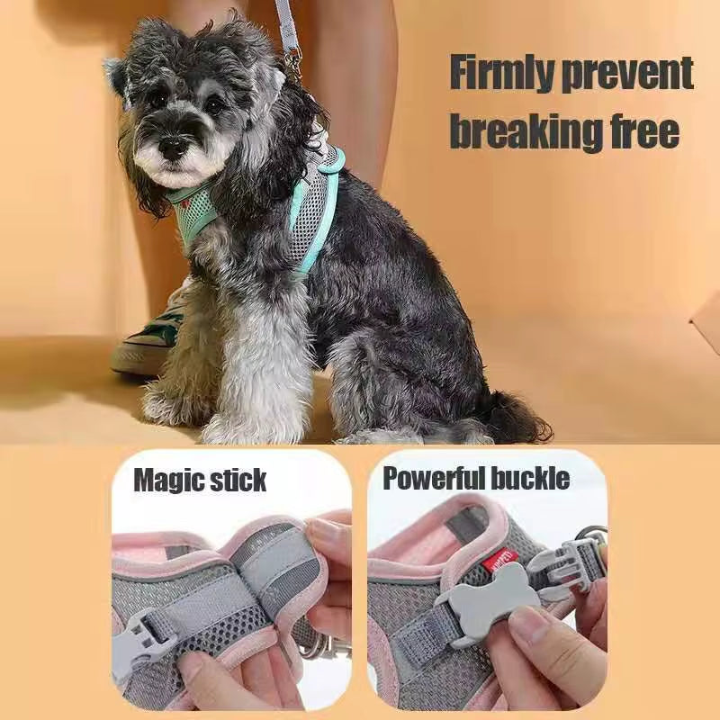 MADDEN Reflective Adjustable Dog Harness Vest and Leash Set for Small to Medium Pets - Breathable Outdoor Walking Solution