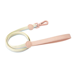 Iridescent Color-Block Dog Collar Leash & Comfort Harness