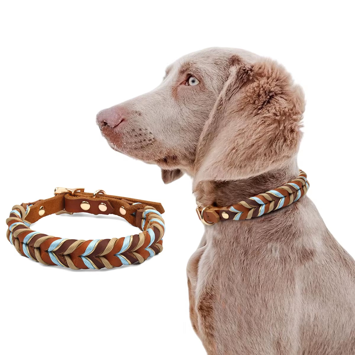 Genuine Leather Collar for Strong and Durable Puppy Medium Large Dogs Fashion Braided Colorful Nylon Rope Dog Collar New Arrival