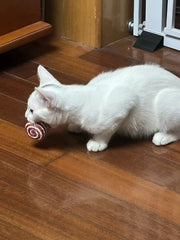 7-in-1 Cat Rope Toy Set – Interactive Chew, Chase & Scratch Toys with Feather Mice & Wand
