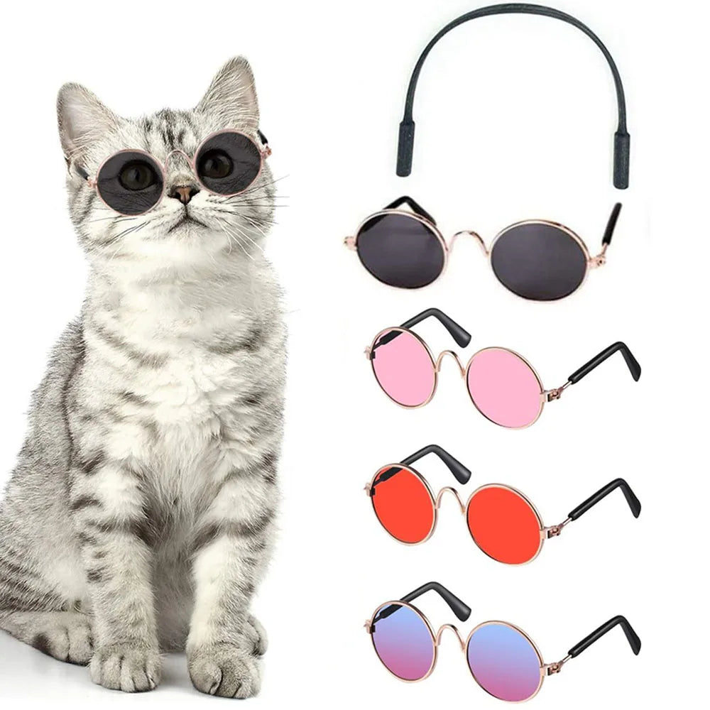 Fun Kitty Sunglasses