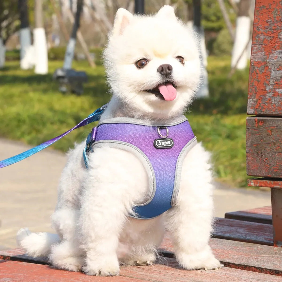 Adjustable Reflective Soft Dog Harness - Breathable Vest Harness for Dogs and Cats