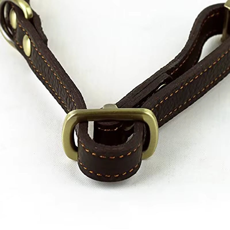 Genuine Leather Dog Collar Quality Handmade Strong Comfortable Metal Buckle Pet Collar for Small Medium Large Dogs