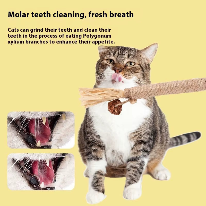 Polygonum Molar Stick Cat Toy Self-Amusement