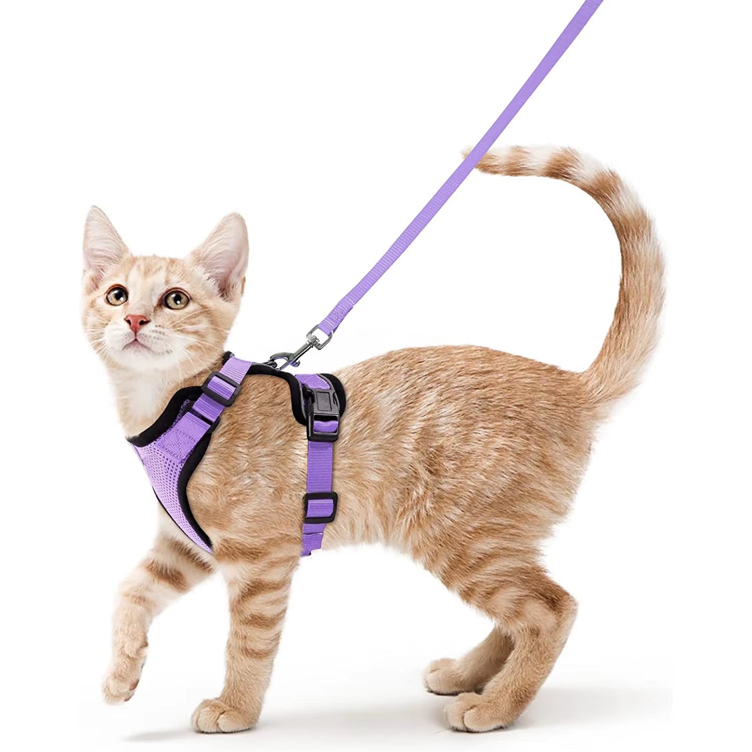 Cat Harness and Leash Set for Walking - Escape-Proof Adjustable Soft Vest Harness for Cats with Easy Control