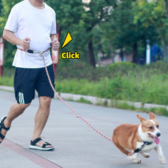 Reflective Double‑Head Dog Training Leash – Adjustable Hands‑Free Rope for Small, Medium & Large Dogs (S/M/L)